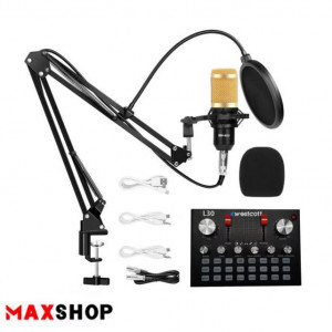 Westcott L30 Sound Card and Microphone